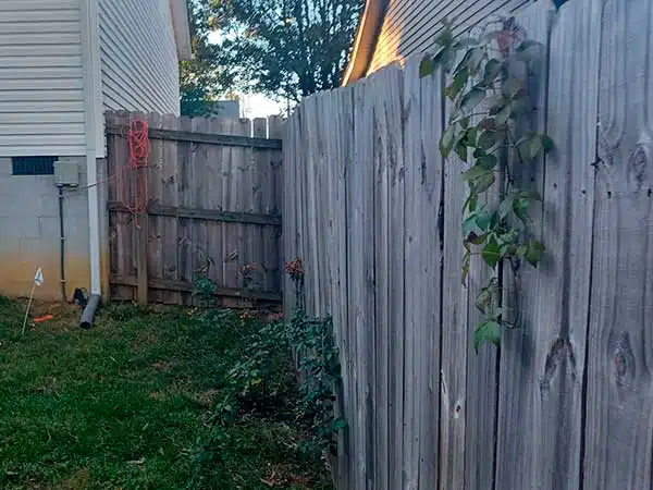 Fence Staining in Winchester